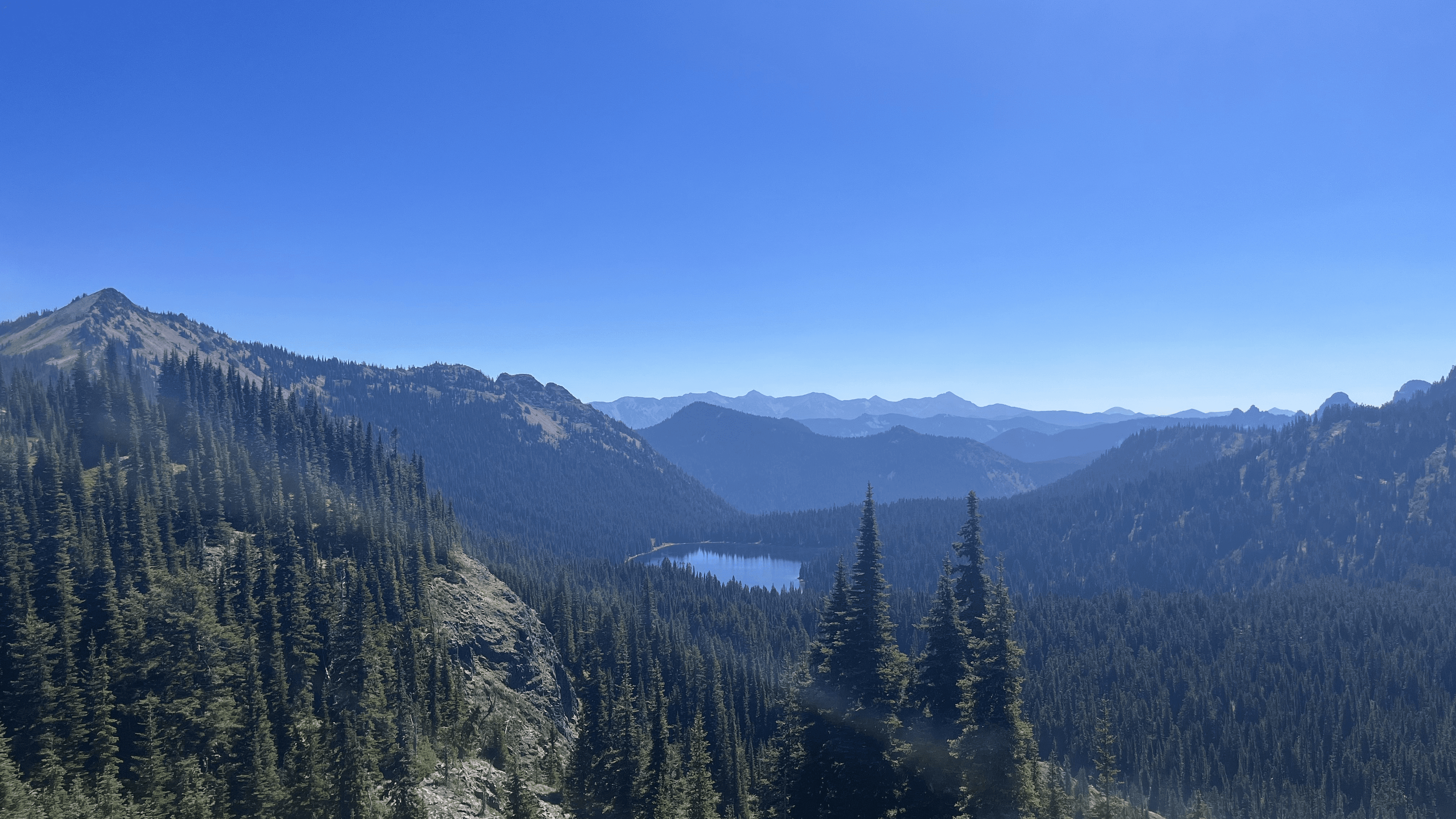 Picture from Rainier National Park